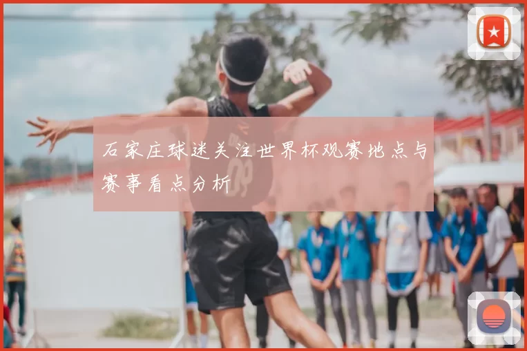 石家庄球迷关注世界杯观赛地点与赛事看点分析