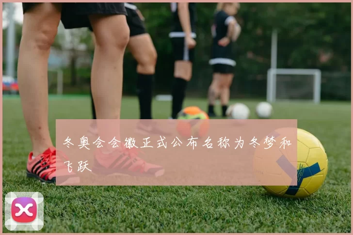 冬奥会会徽正式公布名称为冬梦和飞跃