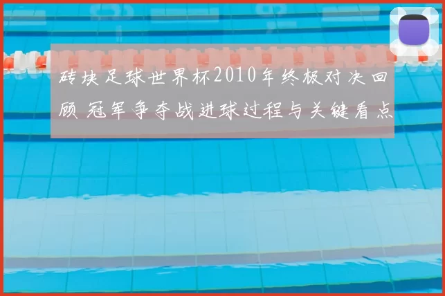 砖块足球世界杯2010年终极对决回顾 冠军争夺战进球过程与关键看点解析