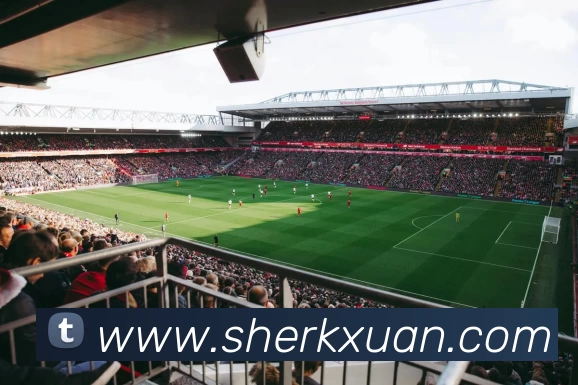 新爱体育官方网站 - 新爱体育(中国)发展历程