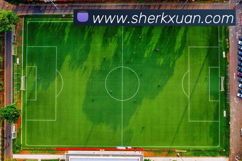 欧洲杯竞猜网址赔率调整影响热门球队投注与奖金分配看点解析